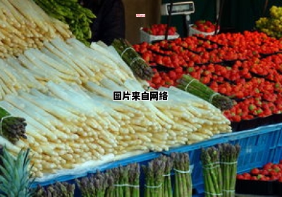 七彩水饺皮的材料是哪些蔬菜呢？（七彩水饺皮是什么蔬菜）