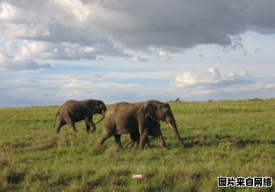 苹果电脑的桌面键盘如何显示出来