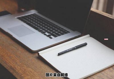 海豚的呼吸方式是如何的 海豚用什么呼吸属于什么动物