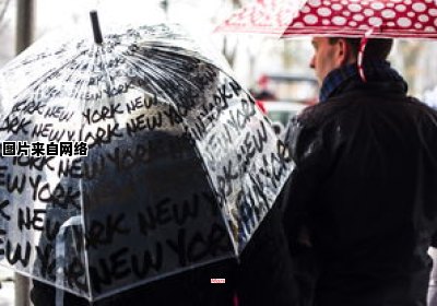 我们在这座城市下起了雨，你有带伞吗？ 这个城市下起了雨