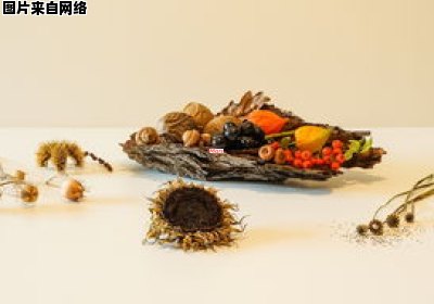 鸡菌子如何切割成花状 鸡菌子如何切割成花状图解