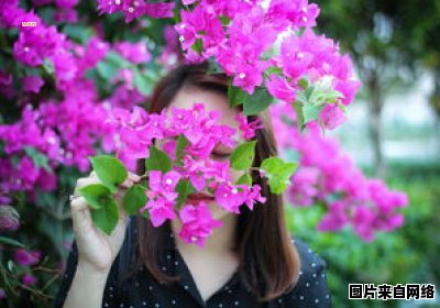 花谢花开，春去春来，意味着什么？