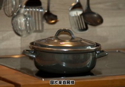 电砂锅与紫砂锅，哪个更适合烹饪？