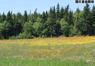 池塘边上响起了怎样的歌声