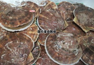 制作美味粽子肉的腌制技巧 粽子肉的腌制方法