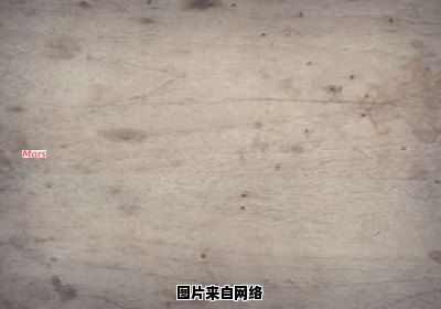 地面细纹装饰的含义是什么（地面花纹）