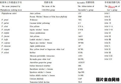 体内原子成分的设置方法有哪些？