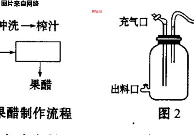 果醋的糖源充足与不足对其发酵反应的影响