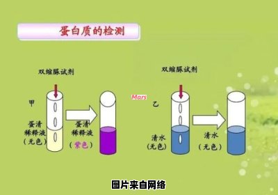 双缩脲试剂的混合顺序