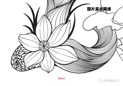 学会正确的绘画技巧，创作出一幅完美的画