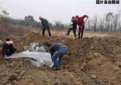 安庆市经济开发区内的老峰村