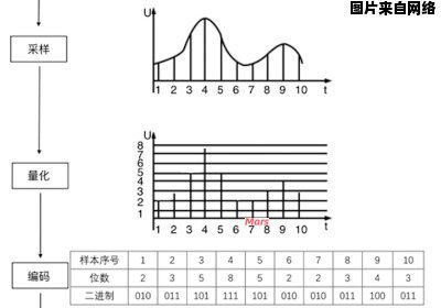 选择合适的音频码率应该考虑哪些因素？