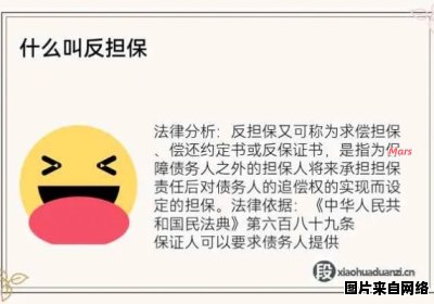 了解反担保的定义和含义