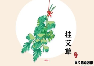 为何端午节要悬挂艾草？