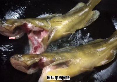 自制美味红烧黄骨鱼的独特做法