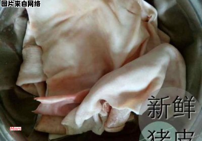 如何正确清洗和保养猪皮皮衣物