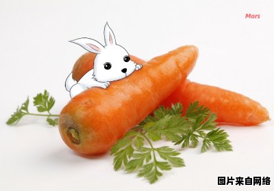兔子的饮食偏好是否与胡萝卜有关