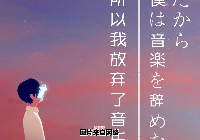 成年后我只能飞奔的乐曲