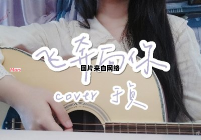 成年后我只能飞奔的乐曲