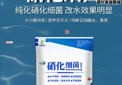 硝化菌的功能与用途是什么？