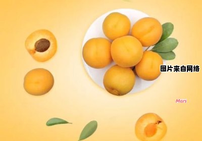 杏的性质是属于寒性还是热性的？