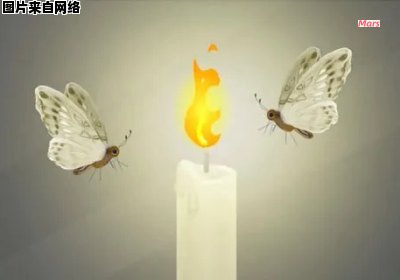 飞蛾为何会被火吸引？