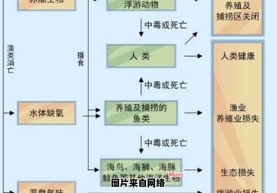 赤潮的形成机制是什么