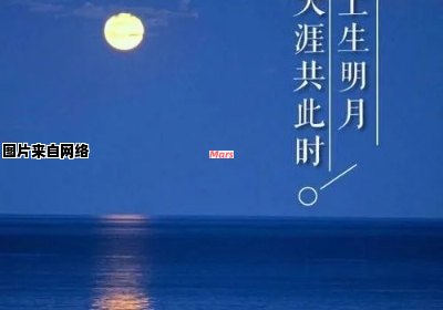 明月海上生，共此时天涯诗