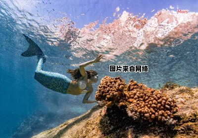 不同种动物的海洋美人鱼是指什么？