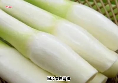 如何防止茭白种植中出现黑点问题