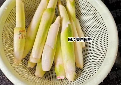 如何防止茭白种植中出现黑点问题