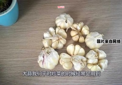 如何防止大蒜发芽？