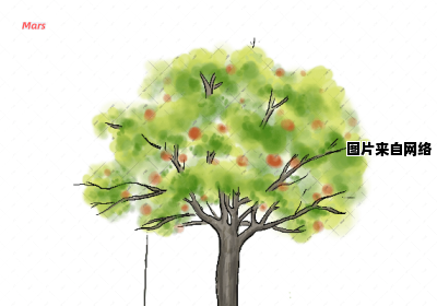 秋天果树的简单绘画技巧