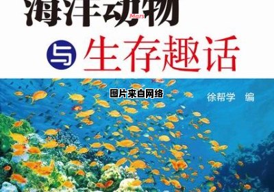 海洋中的动物是如何生活的