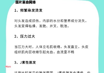 预防脱发的有效方法与技巧