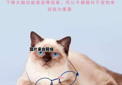 猫咪需要牛磺酸，它对猫的健康有何作用？