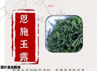 如何品尝和鉴别恩施玉露茶的有效方法