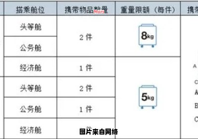 飞机电脑是否应携带登机还是放入行李托运