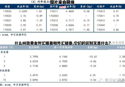 外汇储备的定义和解读