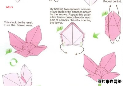 学习制作精美折纸花朵的详细指南