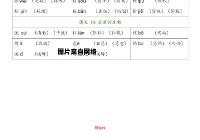 多音字的注音形式及相关词语组合