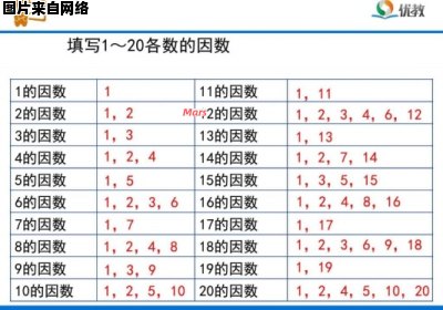 质数与因数的概念及区别