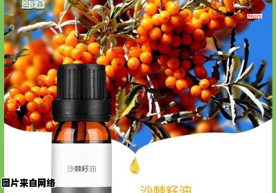 儿童是否适合食用沙棘果油