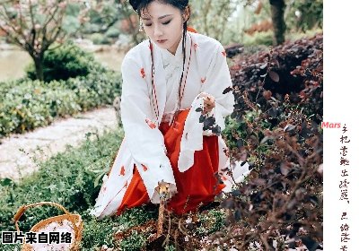 黛玉为何埋葬花朵？