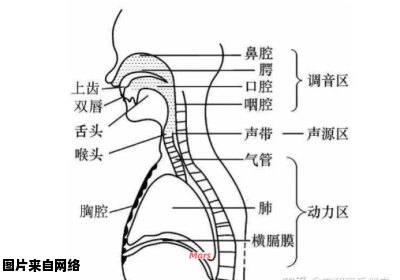 如何有效学习唱歌以避免音准问题