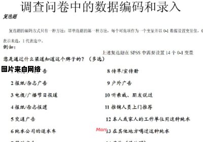 网络调查问卷如何进行数据分析