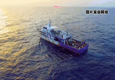 海上船舶实时动态查询