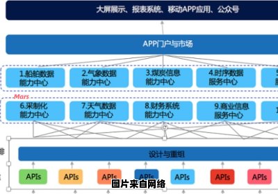 蜂巢网络的数据定义是什么？