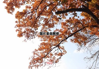 无锡鼋头渚秋季旅游指南