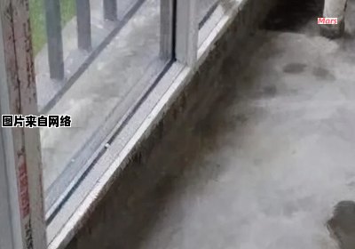 阳台漏水的处理方法